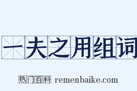 一夫之用组词是什么意思的图片